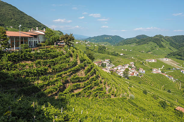 istock Valdobbiadene town and Prosecco vineyards in Veneto 591787640