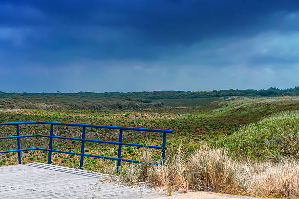panorama wydm na wybrzeżu morza północnego w holandii - sandweg zdjęcia i obrazy z banku zdjęć