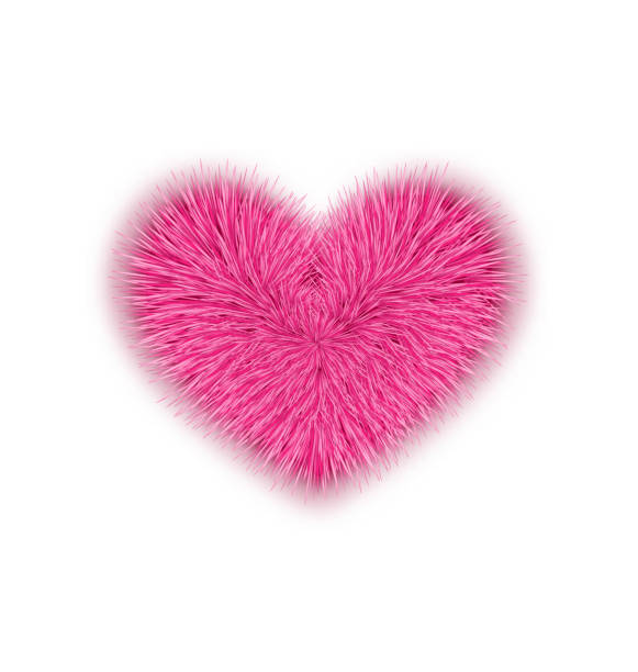 istock fur pink heart for Valentines Day isolated on white background 591804946