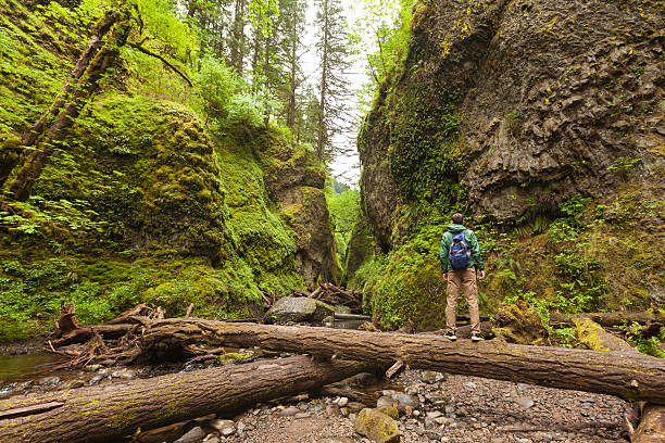 Adventure man hiking with backpack, walking in Oneonta Gorge, outdoor lifestyle