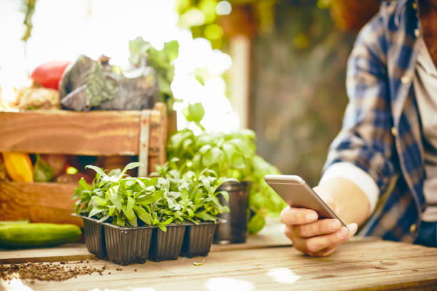 istock Cropped image of male using smart phone at table 591813956