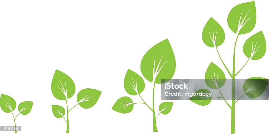 Growth Tree Graphik Tree Growth Vector Diagram Green Stock Illustration - Download Image ...