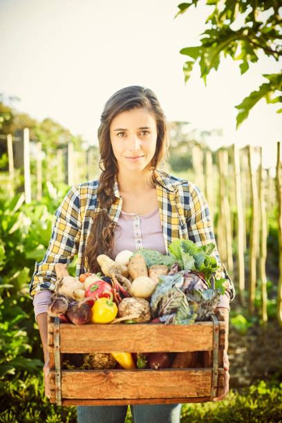 istock Female carrying various vegetables in crate at organic farm 591814910