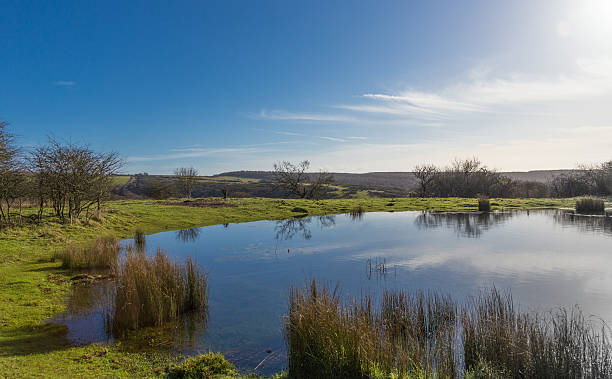 istock Dew Pond in the South Downs National Park 591816714