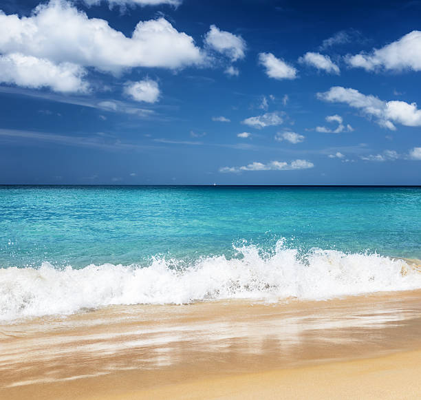 istock Beautiful tropical beach and blue sky 591818228