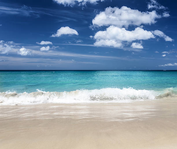 istock Beautiful tropical beach and blue sky 591818324