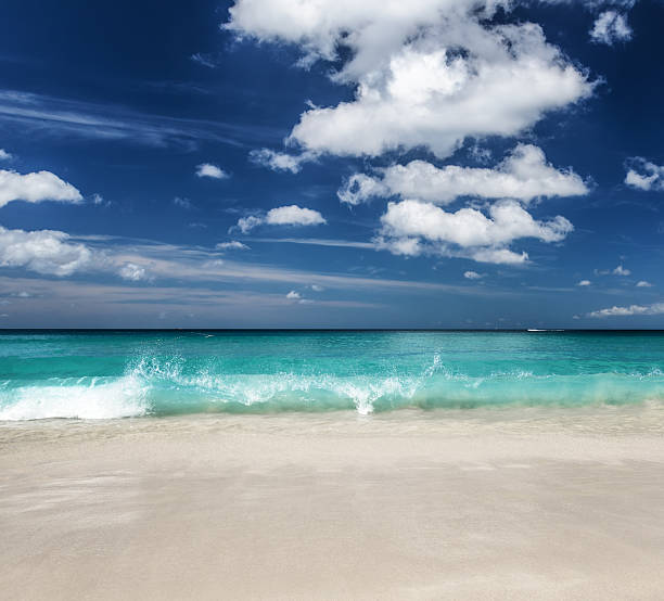 istock Beautiful tropical beach and blue sky 591818912