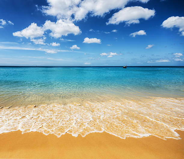 istock Beautiful tropical beach and blue sky 591819078