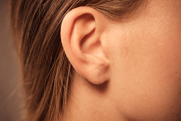 Close up on female ear Detail of the head with female human ear and hair close up human ear stock pictures, royalty-free photos & images