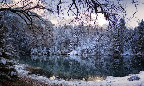 istock Swiss blue lake in winter forest 591825786