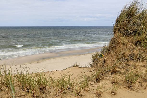 istock North europe - beautiful coast line 591827780