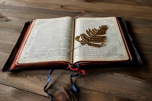 istock Bible and pressed fern leaf 591833334