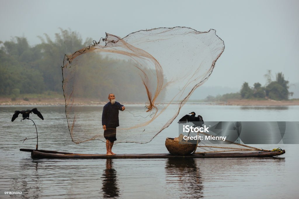 Chinese traditional senior fisherman throwing fishing net Li River China Traditional chinese 75 year old senior fisherman in traditional clothes on his wooden fishing raft with two cormorants fishing with a net on the Li River in the early morning fog light at sunrise. Xing Ping, close to Yangshuo County, Guangxi, Guilin, China. China - East Asia Stock Photo
