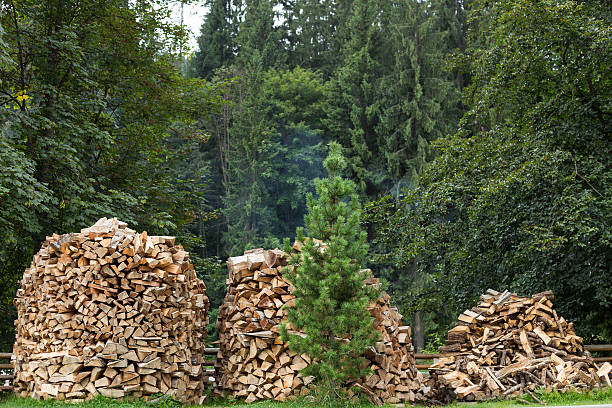 istock Chopped firewood for home heating in the Carpathians. 591835948