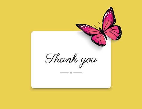 Thank you blank card with beautiful red butterfly on yellow background. Realistic card design for wedding invitation and decoration with the butterfly and shadows