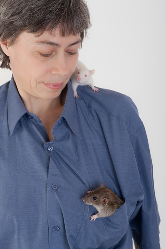portrait of the woman with two domestic rats