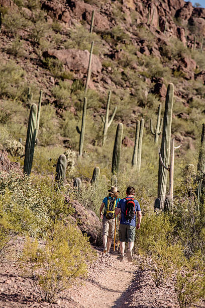 istock Desert Hikers in the Distance on Trail 591841076