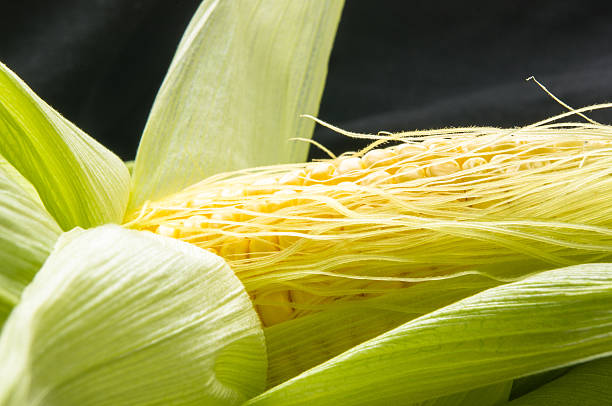 corn on cobs