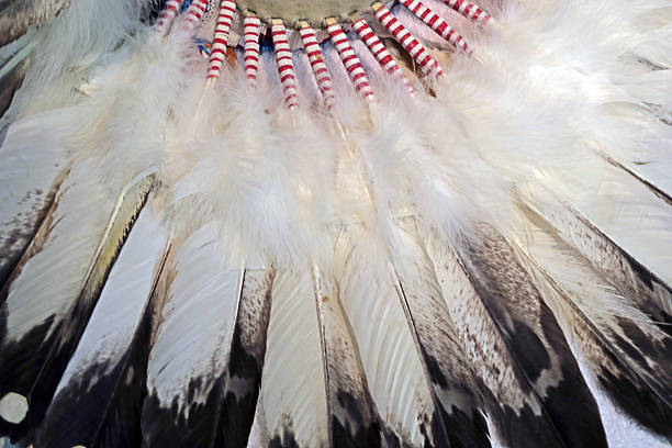 Indian Headdress, close-up of eagle feathers.
