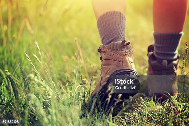 Piernas De Excursionista Mujer Joven Caminando Por El Sendero En Los Pastizales Foto de stock y más banco de imágenes de Excursionismo