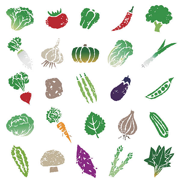 ilustrações de stock, clip art, desenhos animados e ícones de conjunto de ícones de produtos hortícolas - radish white background vegetable leaf