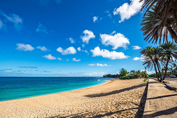 Sunset Beach, Oahu, Hawaii stock photo