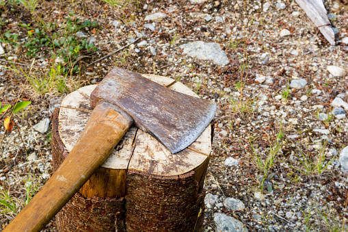 Photo of old blunt axe on log