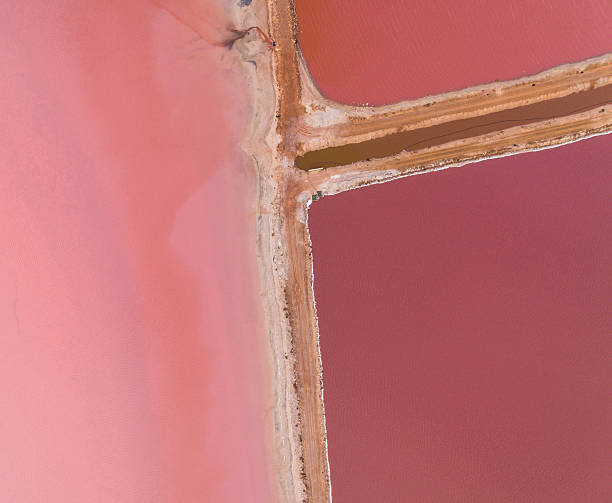 istock Pigmentation Separation Process in Action Displaying Shades of Pink 591993440