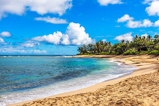 sunset beach, oahu, hawaii - north shore hawaii islands oahu island foto e immagini stock