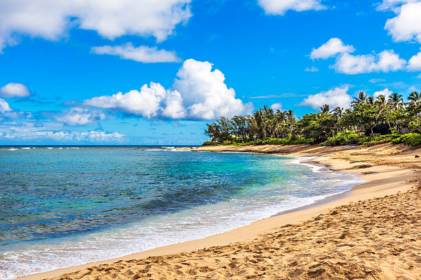 サンセットビーチ, オアフ島, ハワイ - north shore hawaii islands usa oahu ストックフォトと画像