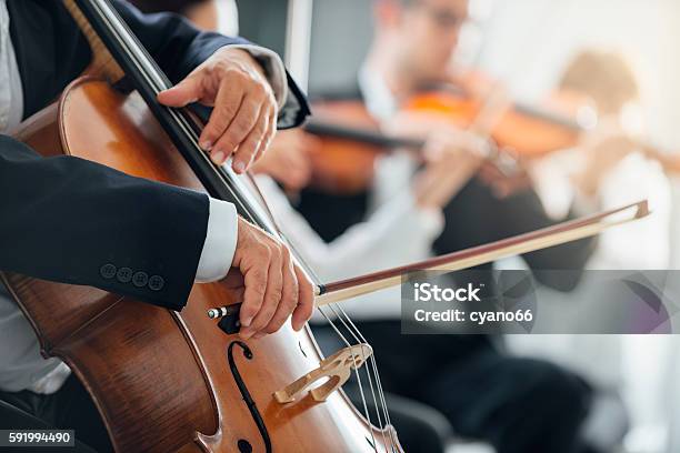 Symphony Orchestra Performance String Section Stock Photo - Download Image Now - Orchestra, Symphony Orchestra, Classical Music