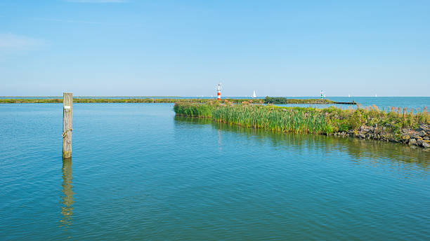 istock Jetty in a marina in summer 591995230
