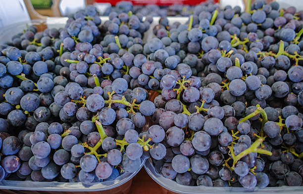istock Fresh red grape  in boxes in whole sale market 591996116