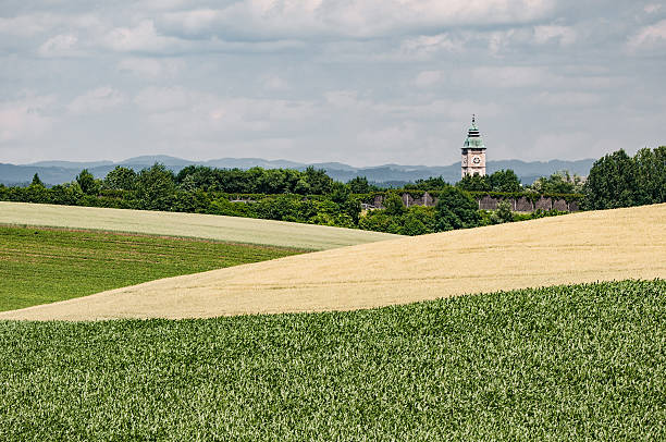 istock city tower of Enns surrounded by fields - Austria 591996894