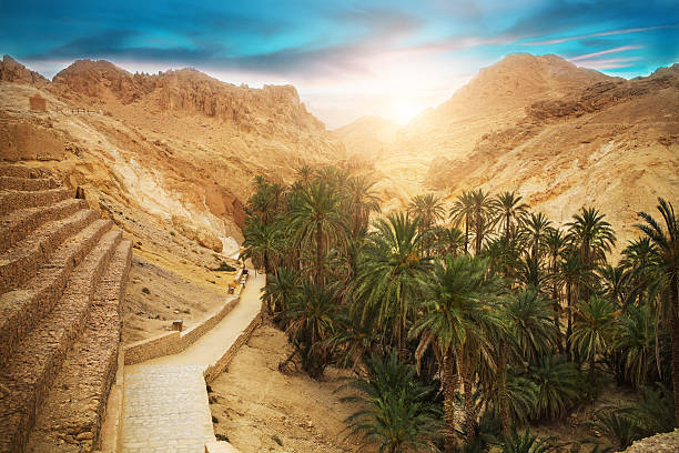 Mountain oasis Chebika, Sahara desert, Tunisia, Africa