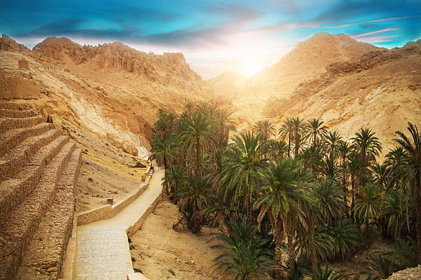 mountain oasis chebika, sahara desert, tunisia, africa - tunisia stok fotoğraflar ve resimler