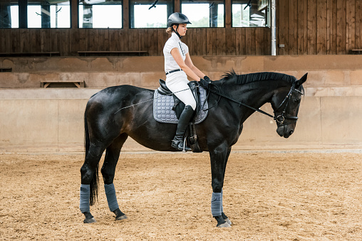Teenage girl in equestrian riding hall during dressage riding training, sitting concentrated on her horse. Horseback Riding Real People Portraits.