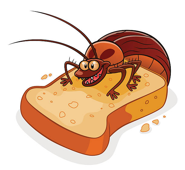 Cockroach on the bread Pleased cartoon cockroach on the hunch of bread. cockroach food stock illustrations