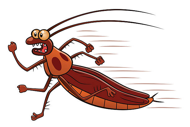 1,926 Cartoon Cockroach Stock Photos, Pictures & Royalty-Free Images -  iStock