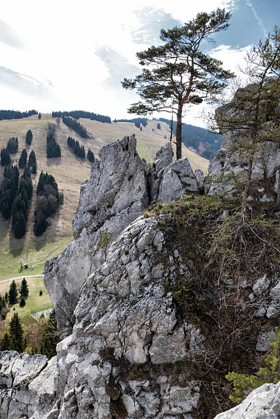 istock Rock formations - Haliny at Malino Brdo, Slovakia 592001094