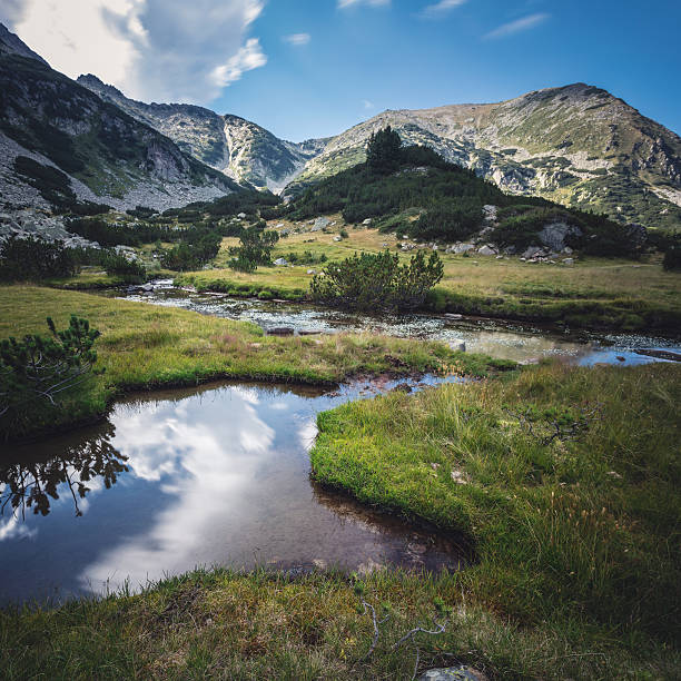 istock Beautiful water stream in mountain valley 592001952