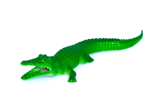 Crocodile toy on a white background, isolated