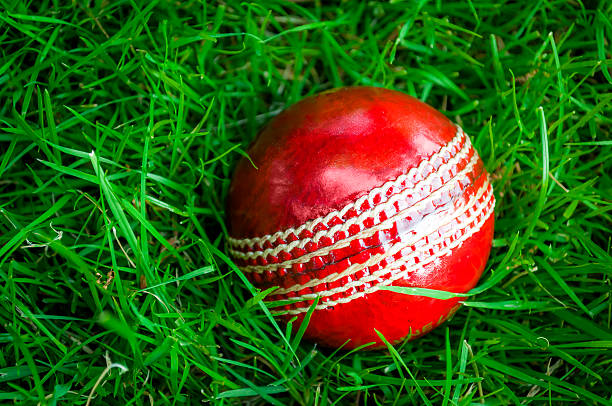 istock Red cricket ball in deep green grass 592002214