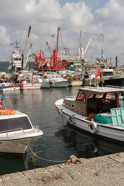 istock Fisherman's Wharf, Istanbul-Turkey 592005922