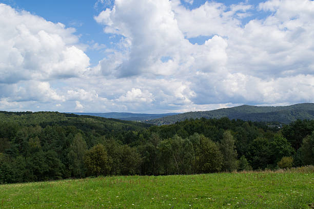 istock Green hills, Bieszczady, Poland 592006592