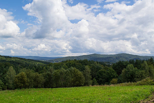 istock Green hills, Bieszczady, Poland 592006952