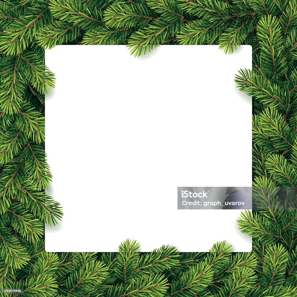 Papel para Navidad con ramas de pino con una lista - arte vectorial de Borde libre de derechos