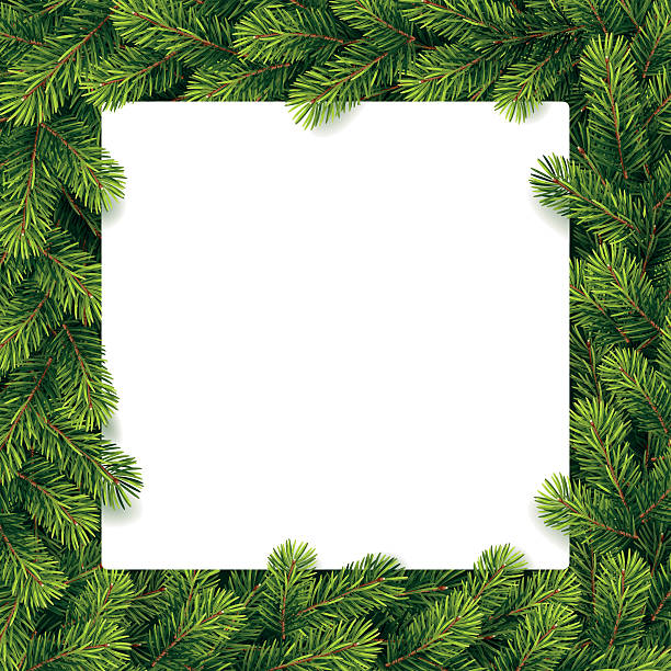 illustrations, cliparts, dessins animés et icônes de papier de noël sur les branches de pin sur une liste - sapin