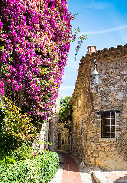 istock Eze Village, France 592012474