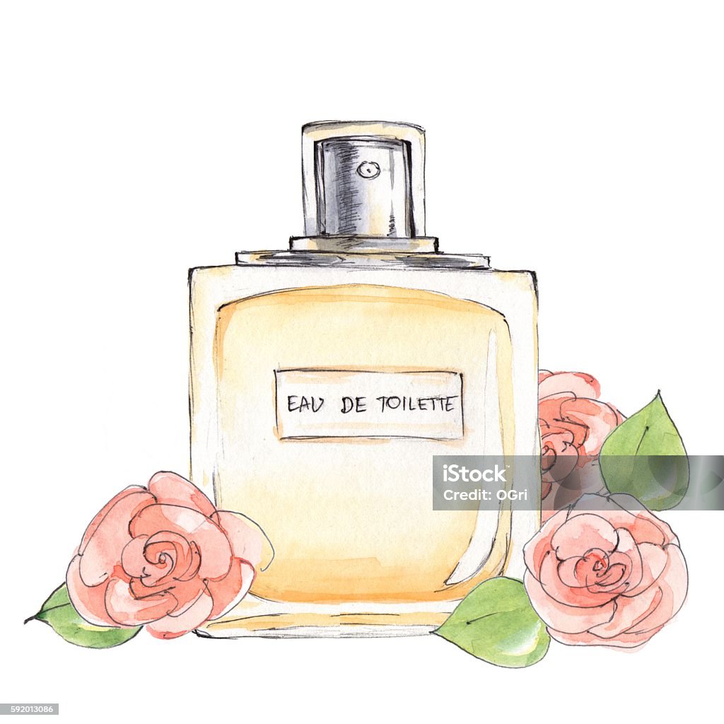Bottle Of Perfume Ink And Watercolor Sketch 6 Stock Illustration - Download  Image Now - Beauty Product, Bottle, Container - iStock